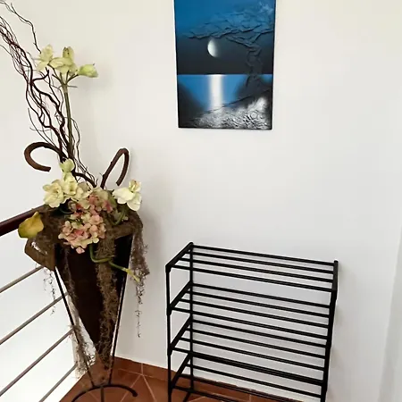 Apartment Kaja Liznjan